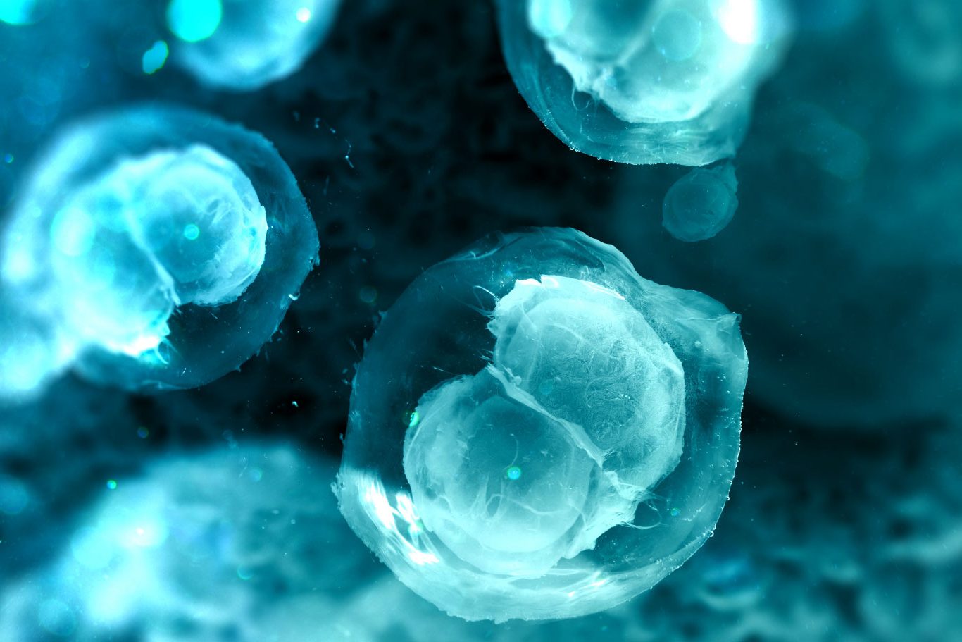 projekt naukowy timeless